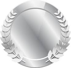 Silver Badge